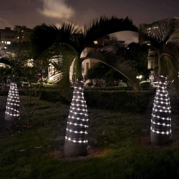 Outdoor Rope Lights - Image 4